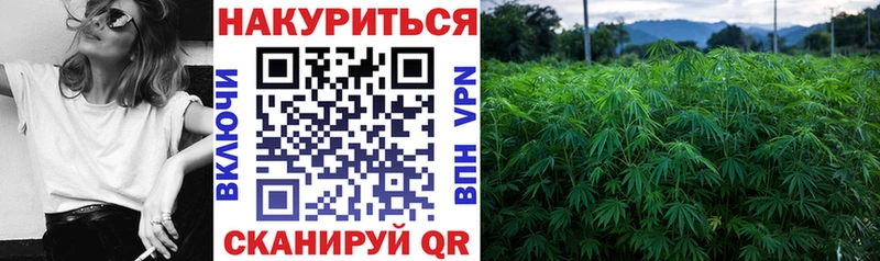 Купить закладку СОЛЬ  МЕФ  КОКАИН  ГАШ  Каннабис  Ветлуга