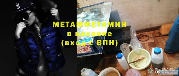 индика Бронницы