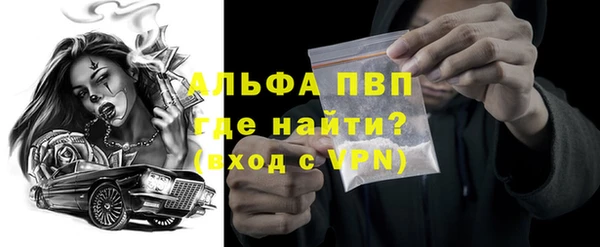 индика Бронницы