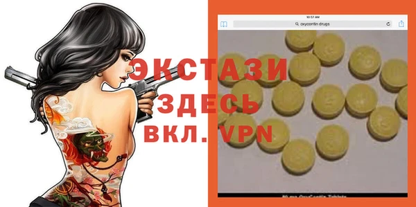 индика Бронницы