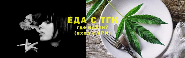 индика Бронницы