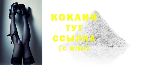 индика Бронницы