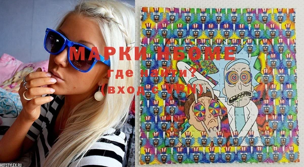 индика Бронницы