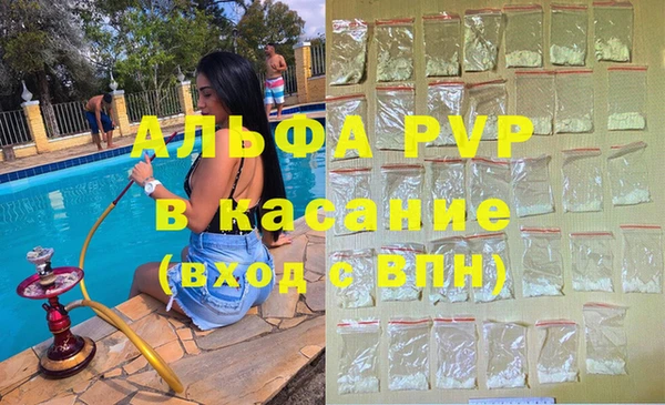 индика Бронницы