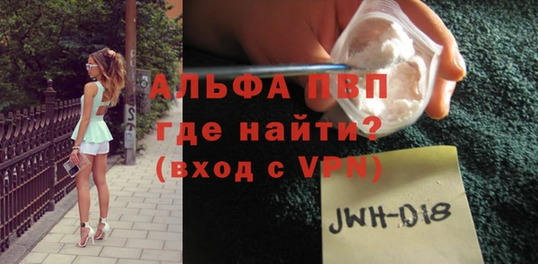 индика Бронницы