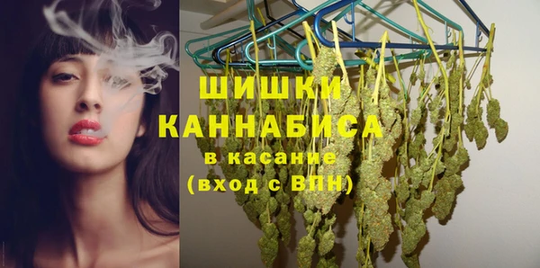 индика Бронницы