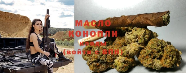 индика Бронницы