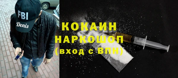 прущий лед Бородино