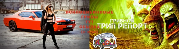 индика Бронницы