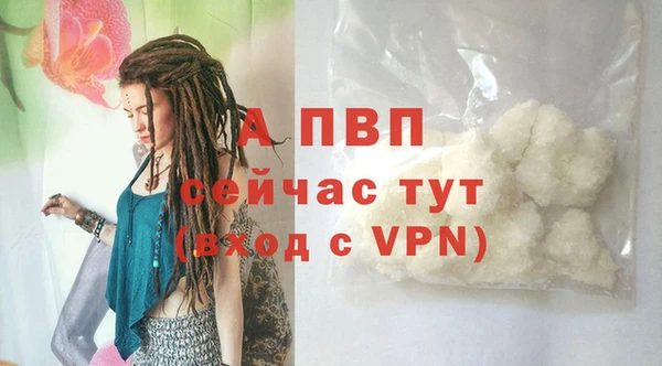 прущий лед Бородино