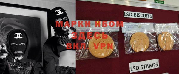 индика Бронницы