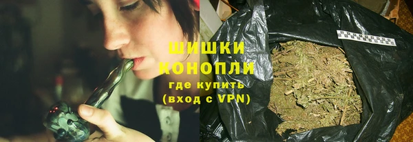 индика Бронницы