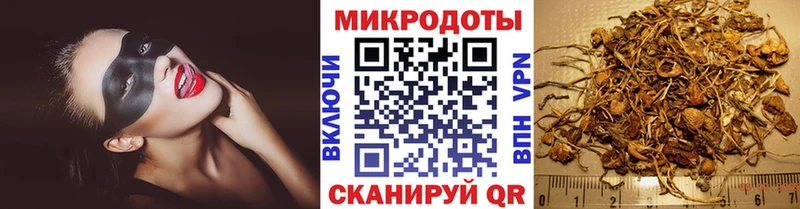 Купить  Ветлуга  Псилоцибиновые грибы Psilocybe 