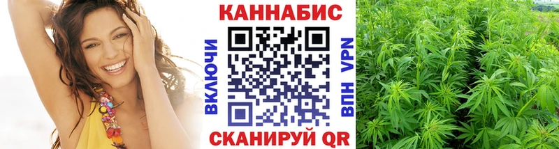 Купить закладки  Ветлуга  Каннабис ГИДРОПОН 